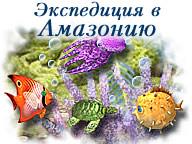 Експедиція до Амазонії