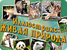 Ілюстрікс Ілюстрікс